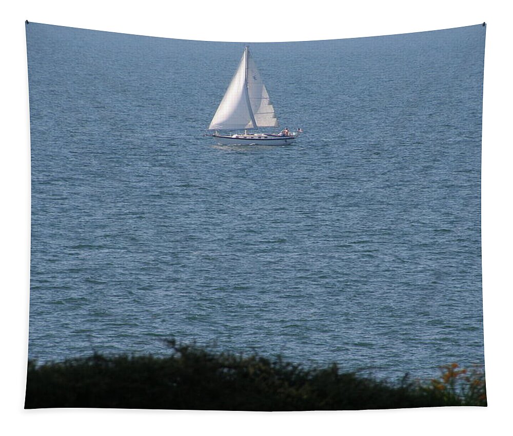 Water Tapestry featuring the photograph Sailboat on Lake Erie by Valerie Collins