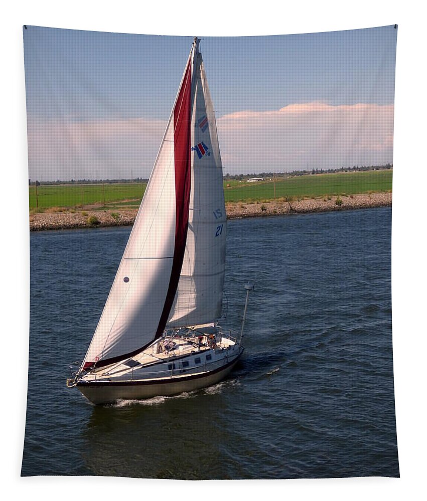 Pamela Patch Tapestry featuring the photograph Sailing the Delta by Pamela Patch