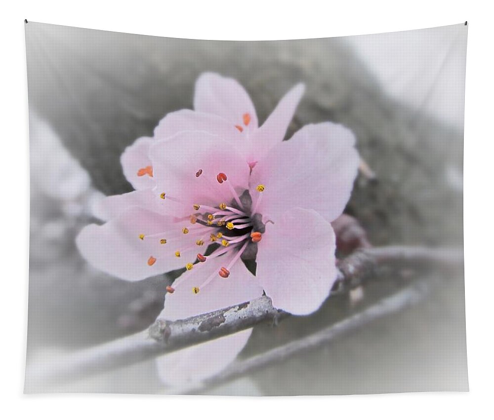 Sakura Tapestry featuring the photograph Sakura Blossom by Marianna Mills