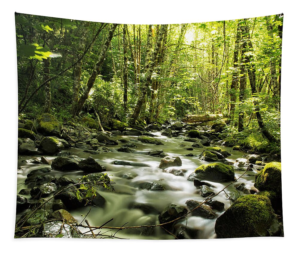Stream Tapestry featuring the photograph Sanctuary Stream by Belinda Greb