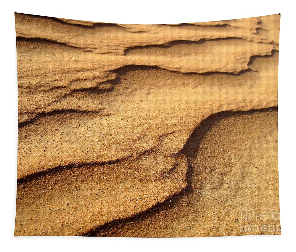 Arid Tapestry featuring the photograph Sand by Amanda Mohler