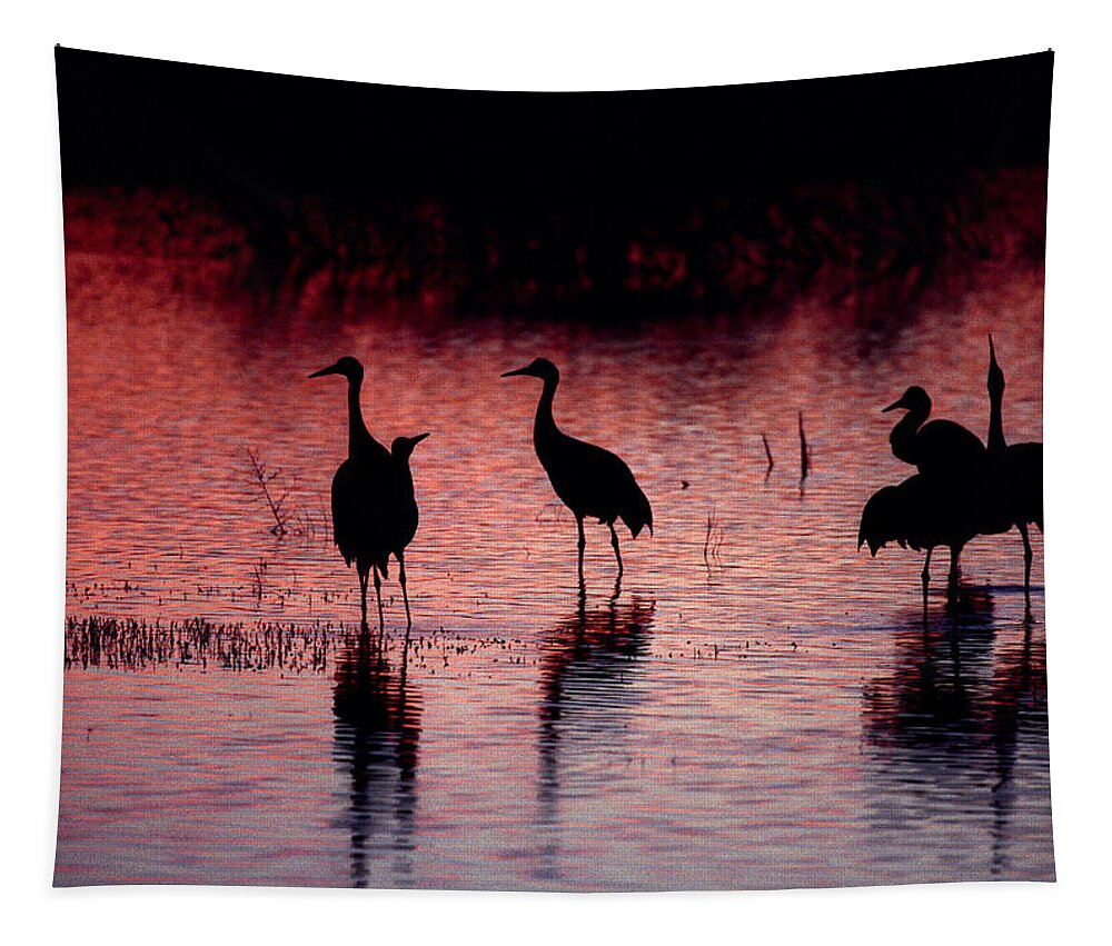 Birds Tapestry featuring the photograph Sandhill Cranes - Bosque del Apache - New Mexico by Steven Ralser