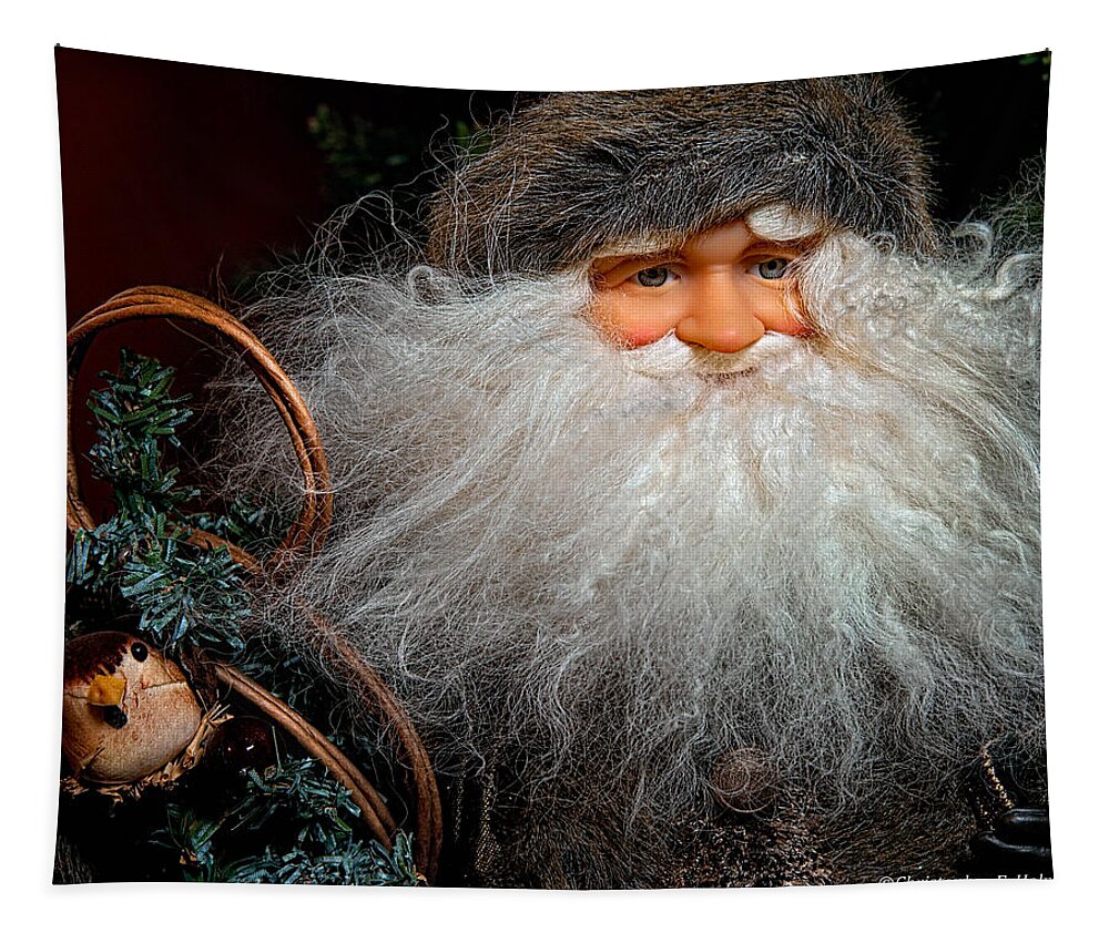 Santa Clause Tapestry featuring the photograph Santa Claus by Christopher Holmes