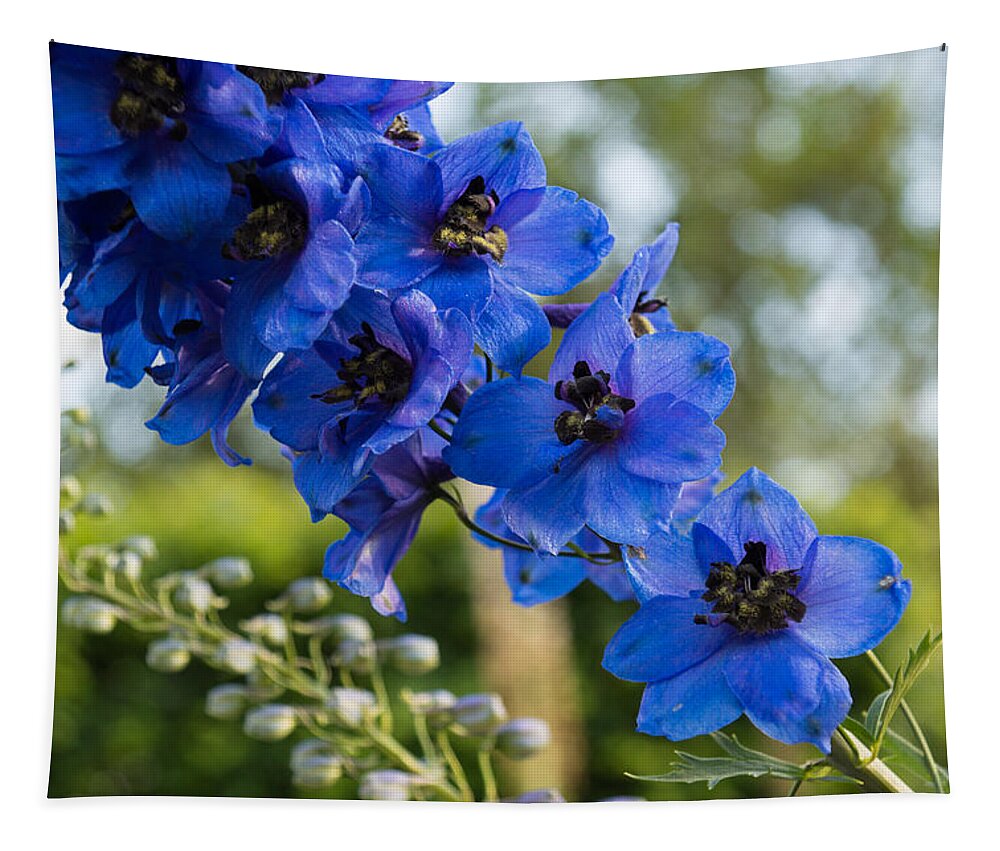Sapphire Blues Tapestry featuring the photograph Sapphire Blues and Pale Greens - a Showy Delphinium by Georgia Mizuleva