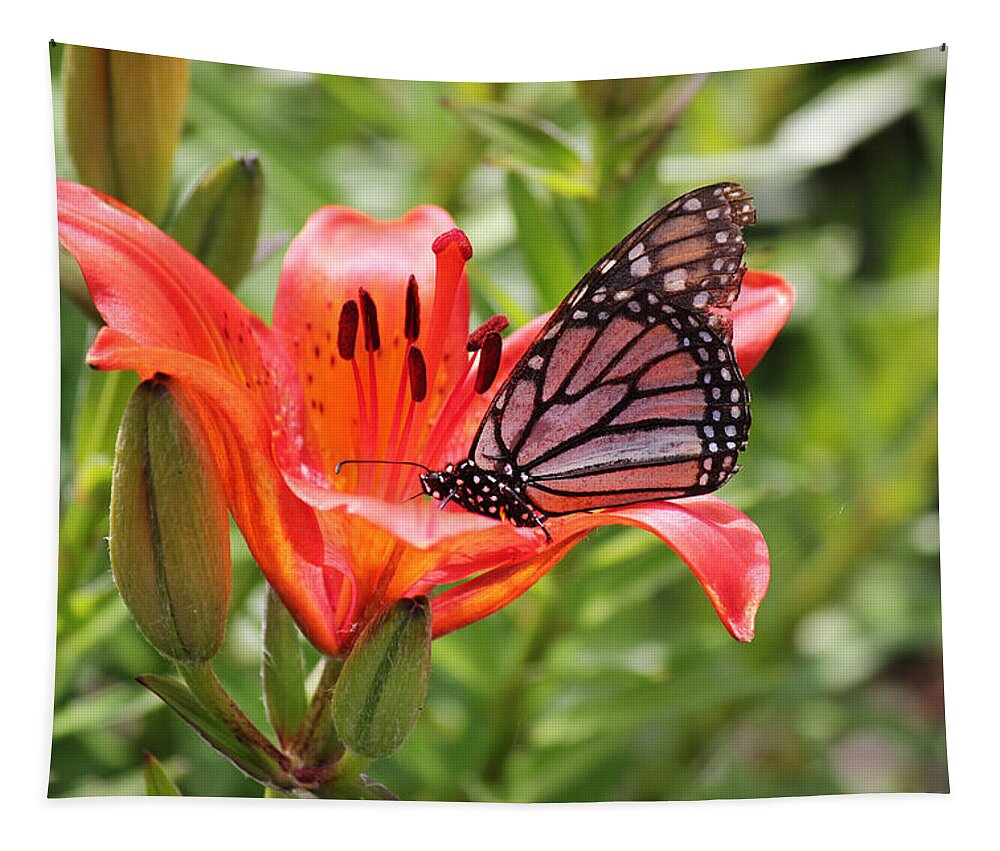 Saskatchewan Tapestry featuring the photograph Saskatchewan Prairie Lily and Butterfly by Ryan Crouse
