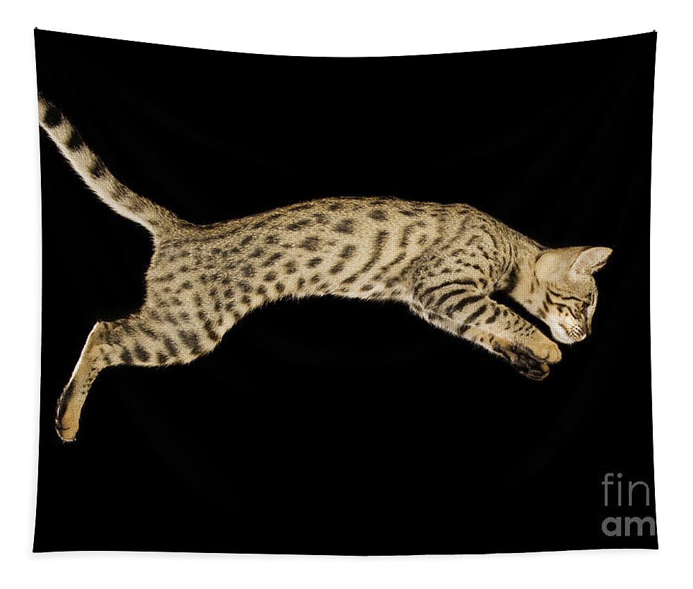 Savannah Cat Tapestry featuring the photograph Savannah Cat by Terry Whittaker
