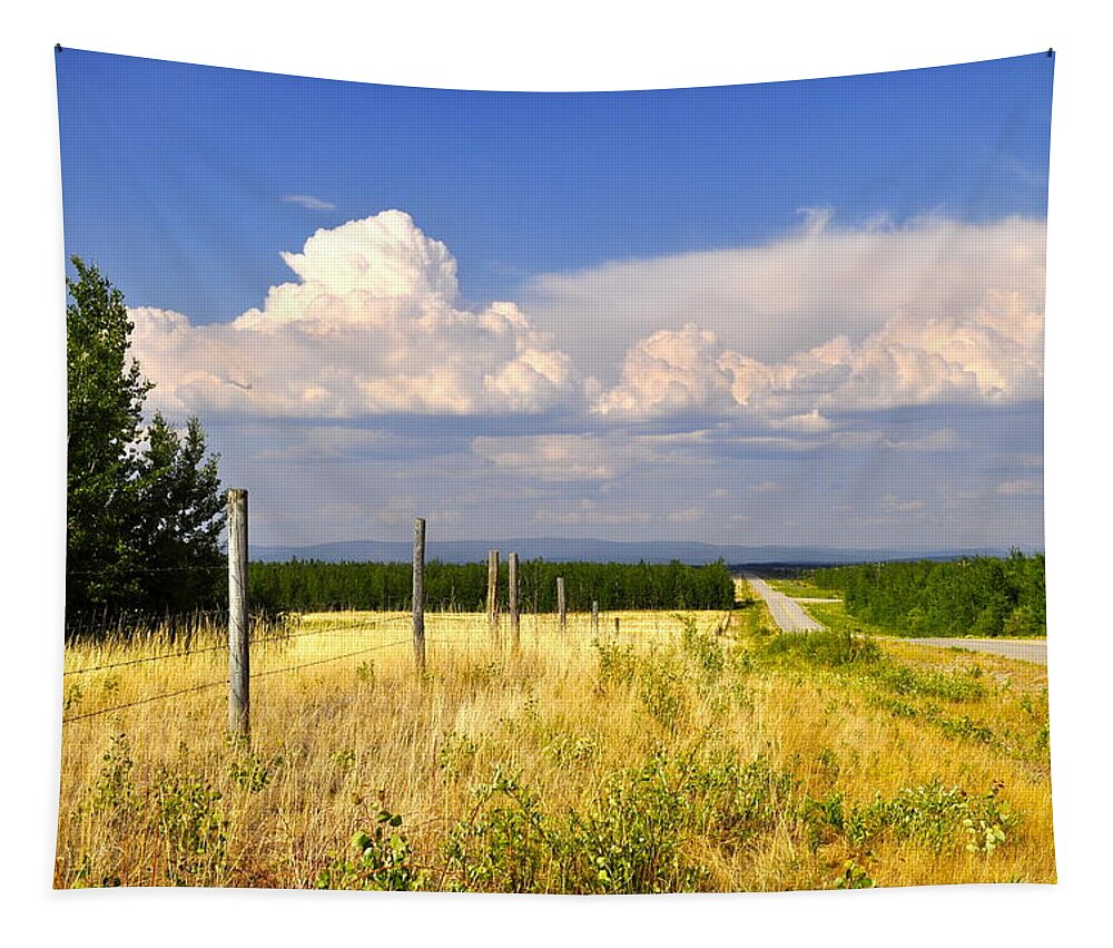 Landscape Tapestry featuring the photograph Sawmill Creek Road by Cathy Mahnke