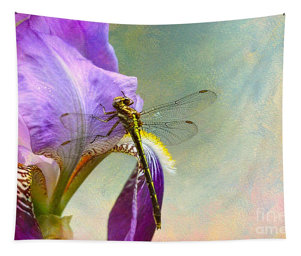 Iris Germanica Tapestry featuring the photograph Say Hello To Spring by Jai Johnson