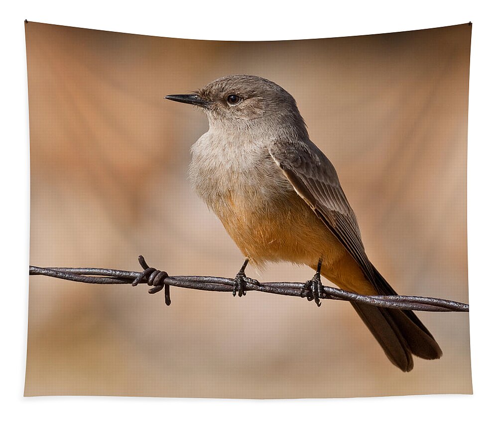 Animal Tapestry featuring the photograph Say's Phoebe on a Barbed Wire by Jeff Goulden