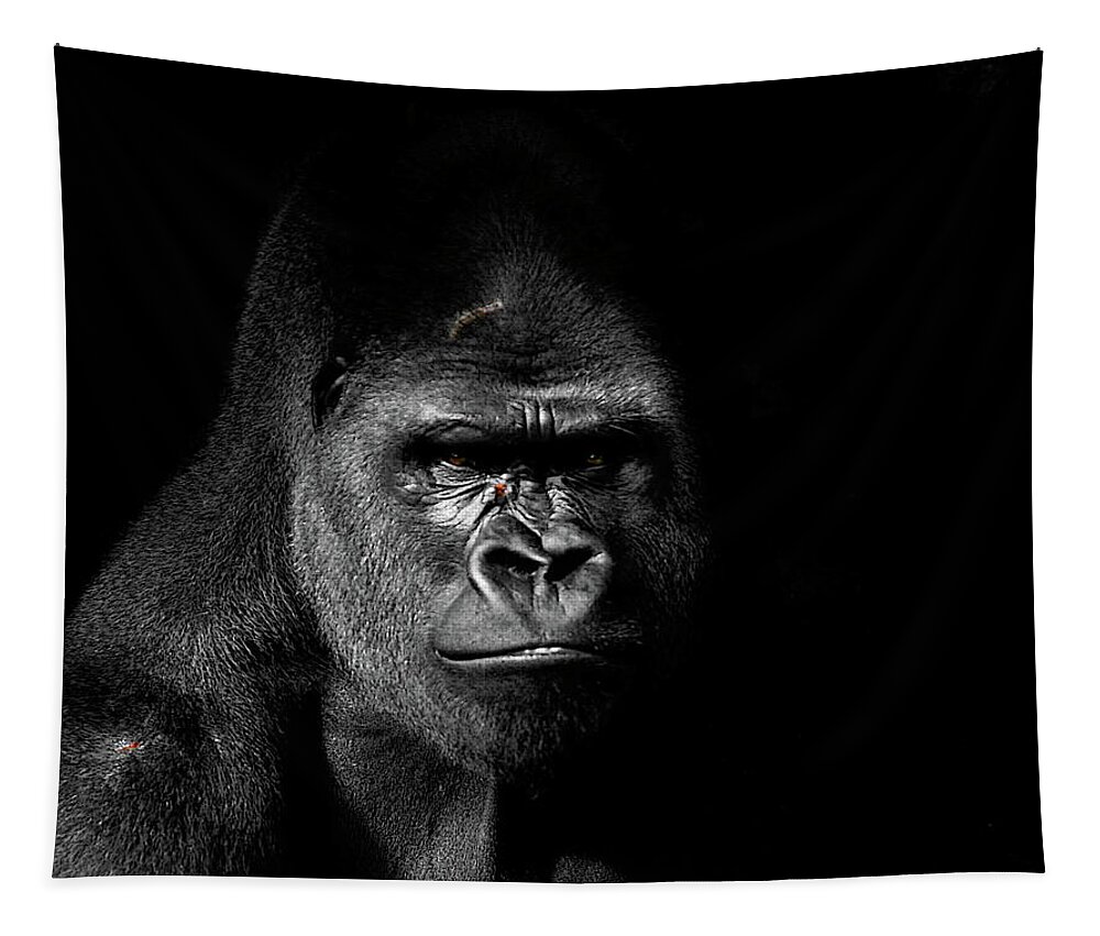 Gorilla Photograph Tapestry featuring the photograph Scarface by Jim Garrison