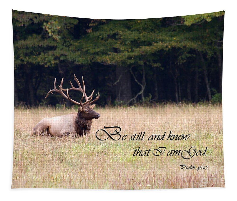 Elk Tapestry featuring the photograph Scripture Photo with Elk Sitting by Jill Lang