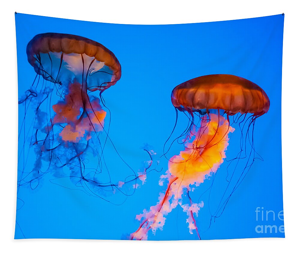 Jellyfish Tapestry featuring the photograph Sea Nettles by Anthony Sacco