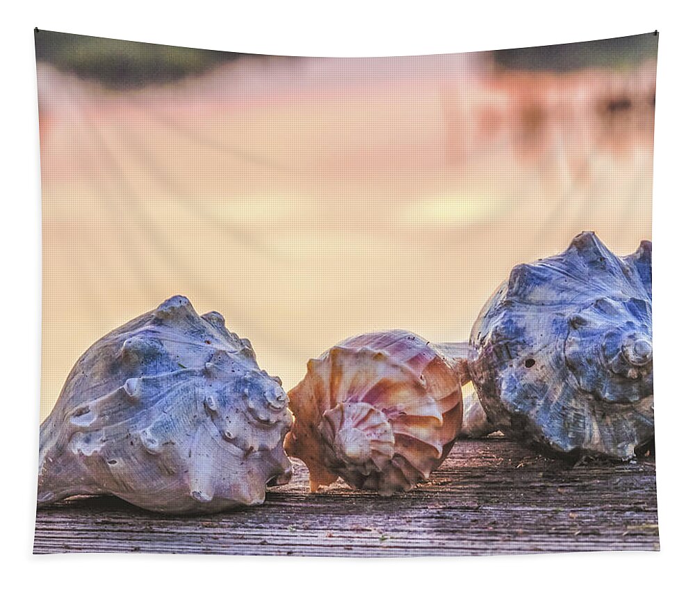 Shell Tapestry featuring the photograph Sea Shells Image Art by Jo Ann Tomaselli
