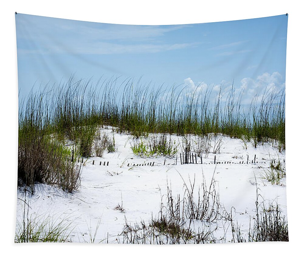 Beach Tapestry featuring the photograph Seaside Fenceline by David Morefield