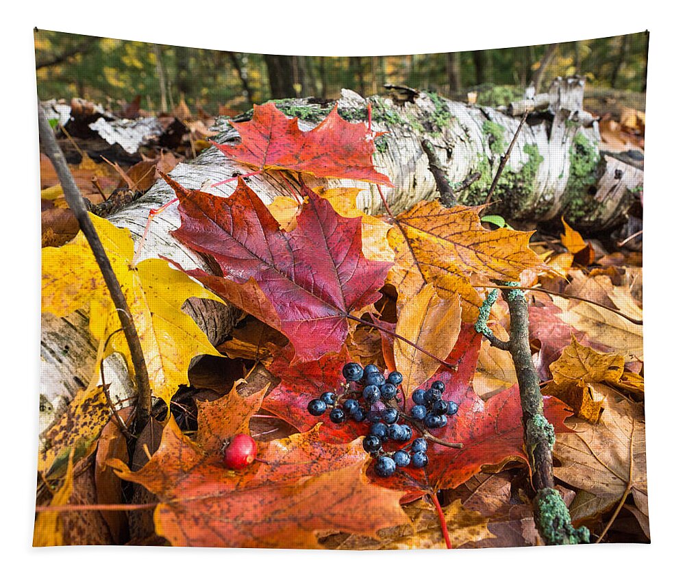 Fall Tapestry featuring the photograph Season Finale by Bill Pevlor
