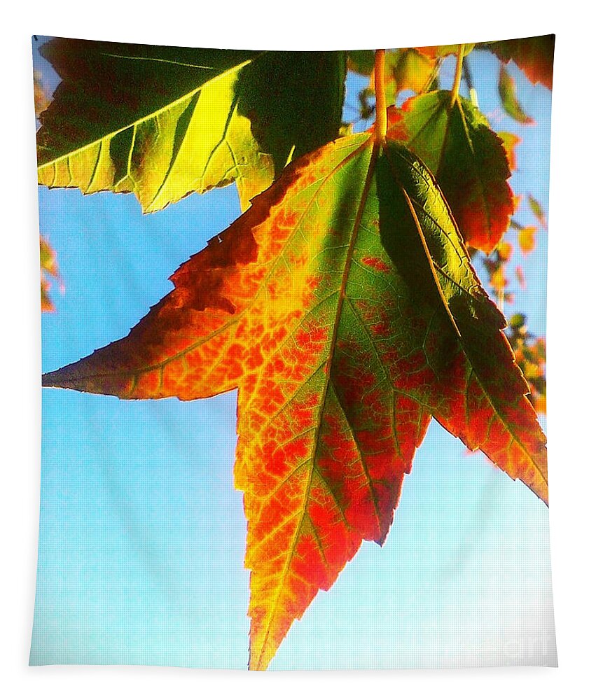 Leaf Tapestry featuring the photograph Season's Change by James Aiken