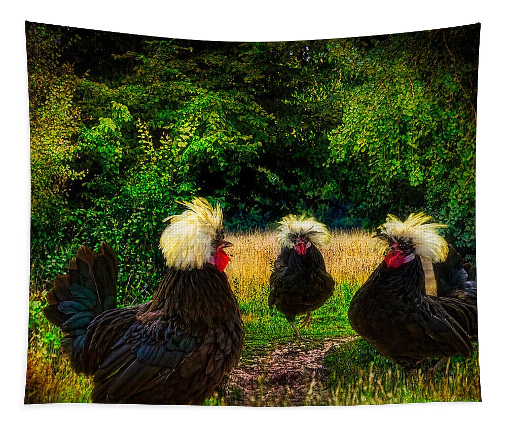 Chicken Tapestry featuring the photograph Secret Conclave Of The Barristers by Chris Lord