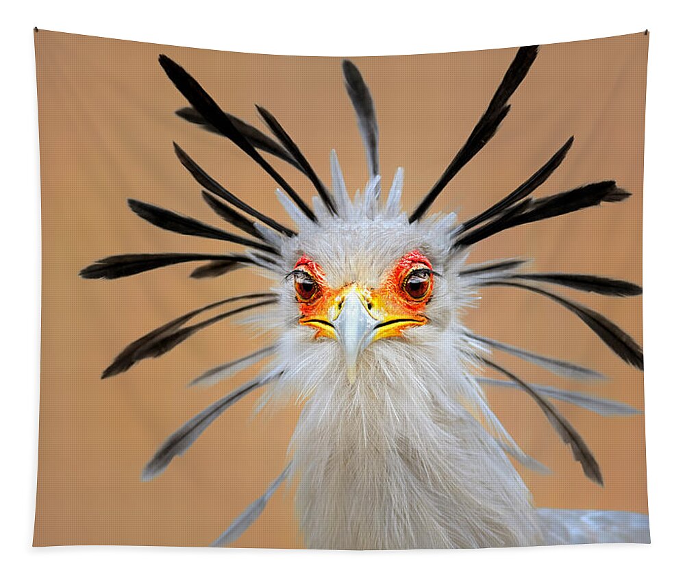 Bird Tapestry featuring the photograph Secretary bird portrait close-up head shot by Johan Swanepoel