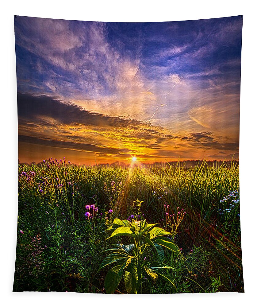 Wild Flowers Tapestry featuring the photograph Secrets Revealed by Phil Koch