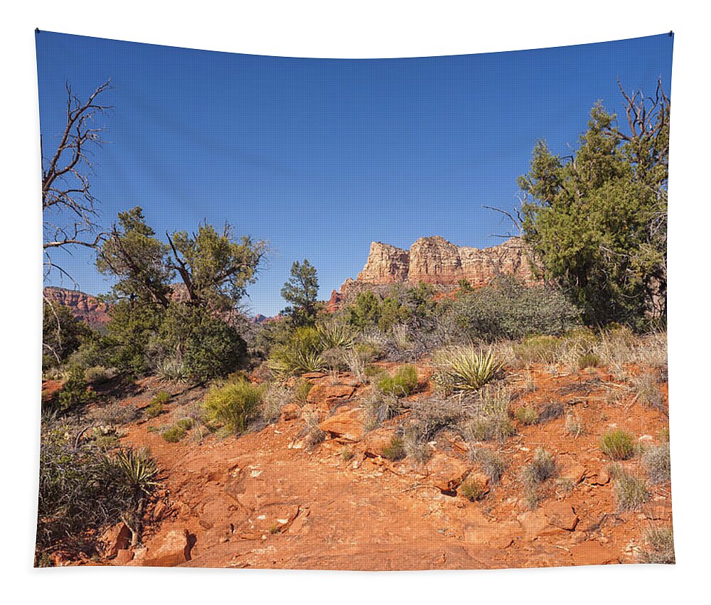 America Tapestry featuring the photograph Sedona buttes desert landscape I by Marianne Campolongo