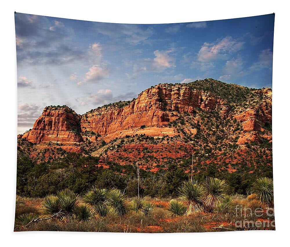 Sedona Arizona Featuring Yucca Plants The Vortex And Red Rock Landscape Scenery Tapestry featuring the photograph Sedona Vortex and Yucca by Barbara Chichester