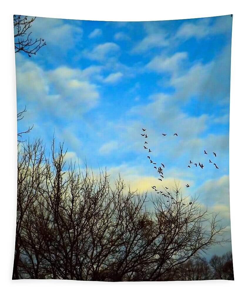 Sunrise Tapestry featuring the photograph Seize The Day by Robyn King