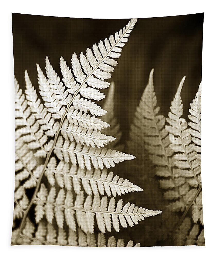 Fern Leaf Tapestry featuring the photograph Sepia Fern Leaf by Christina Rollo