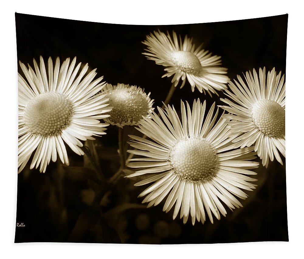 Flowers Tapestry featuring the photograph Sepia Flowers by Christina Rollo