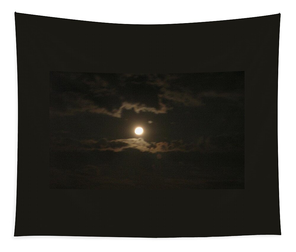 September Moonlight Tapestry featuring the photograph September Moonlight by Emmy Marie Vickers