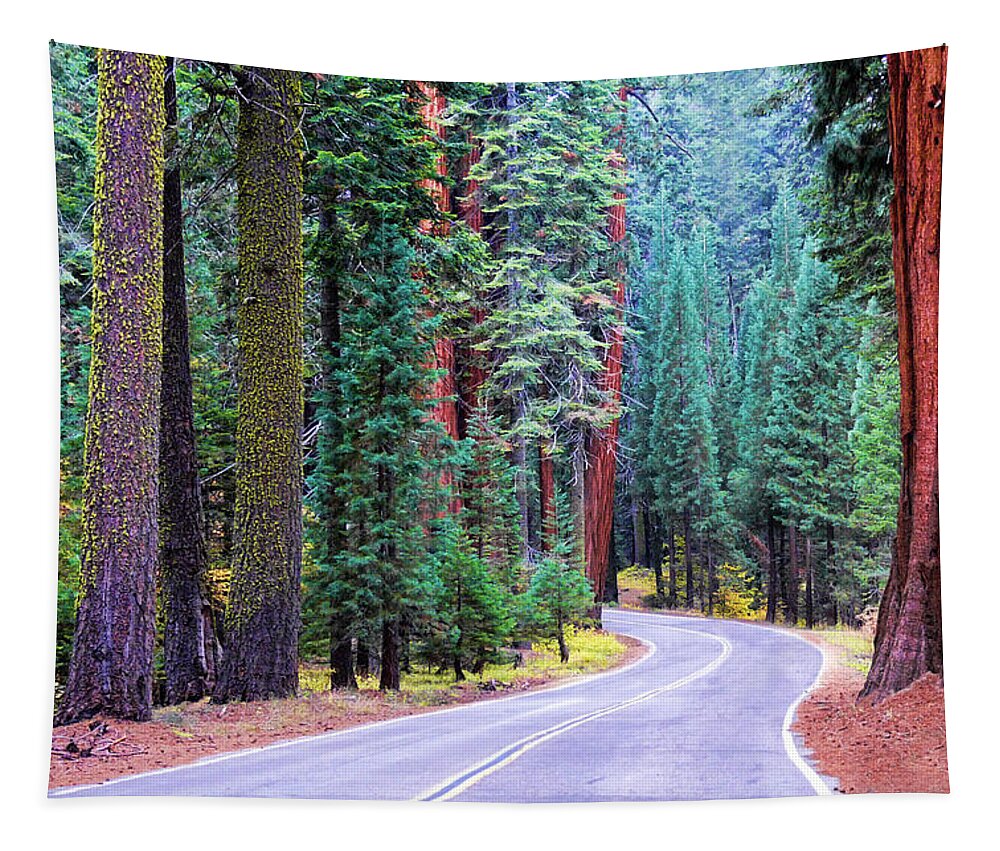 Fiorest Tapestry featuring the photograph Sequoia Hwy by Beth Sargent