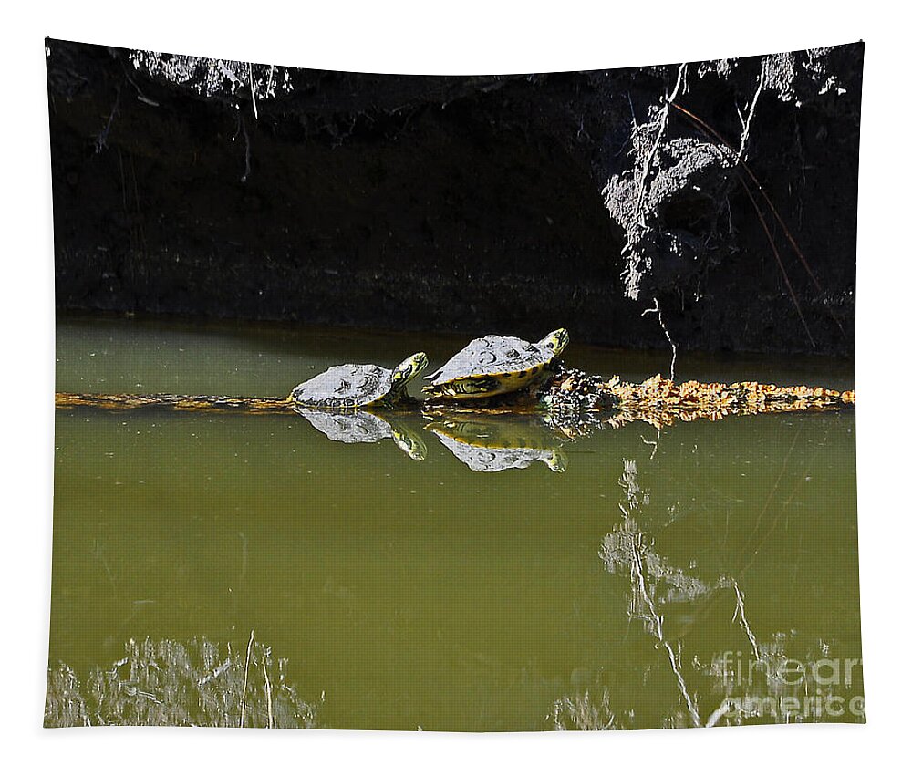 Turtle Tapestry featuring the photograph Sharing Sliders by Al Powell Photography USA