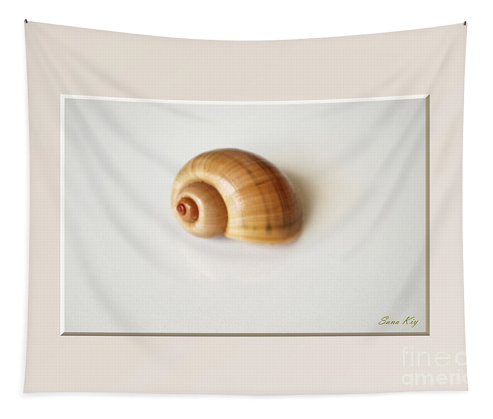 Shell. Delicate Colors Tapestry featuring the photograph Shell. Delicate colors by Oksana Semenchenko