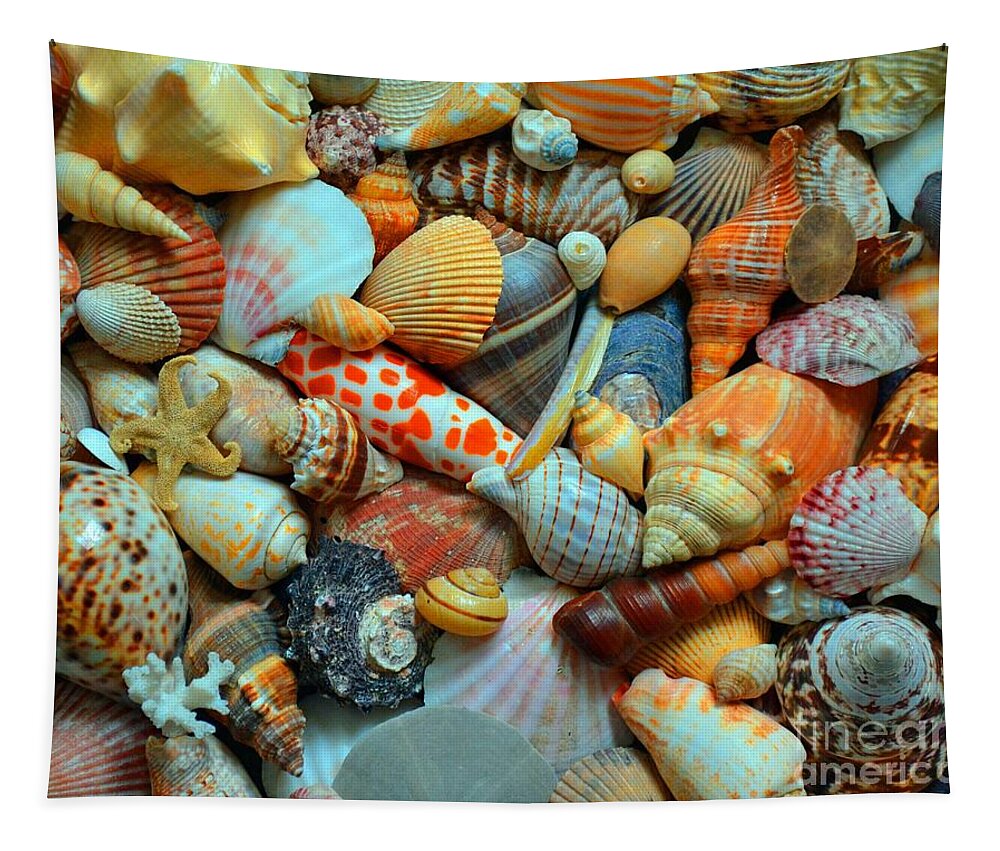 Shell Tapestry featuring the photograph Shells by Kevin Fortier