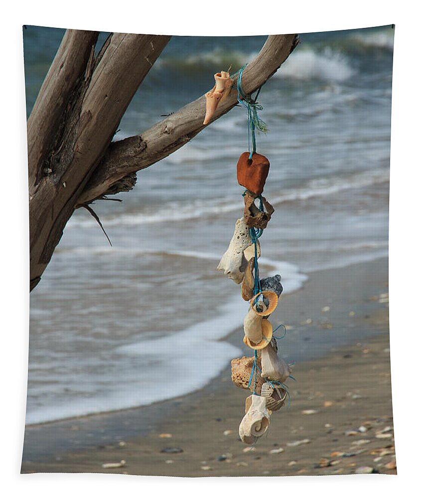South Carolina Tapestry featuring the photograph Shells on a String by Patricia Schaefer