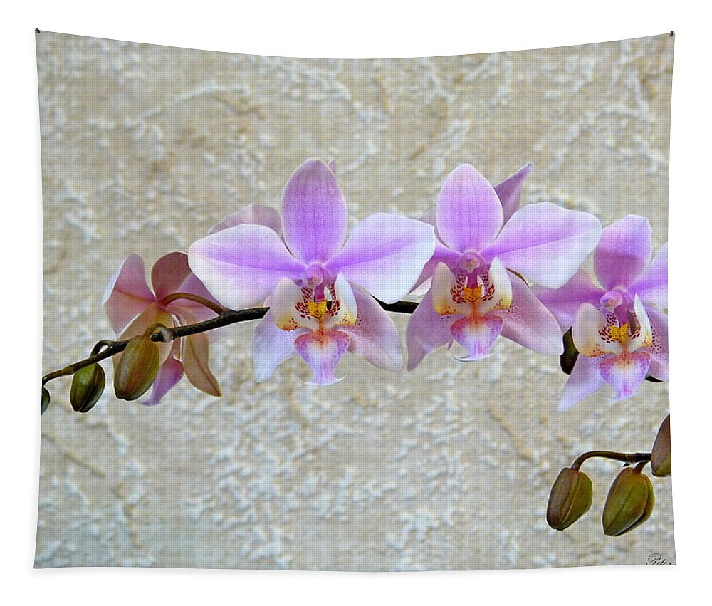 Flower Tapestry featuring the photograph Shilleriana by Pete Trenholm