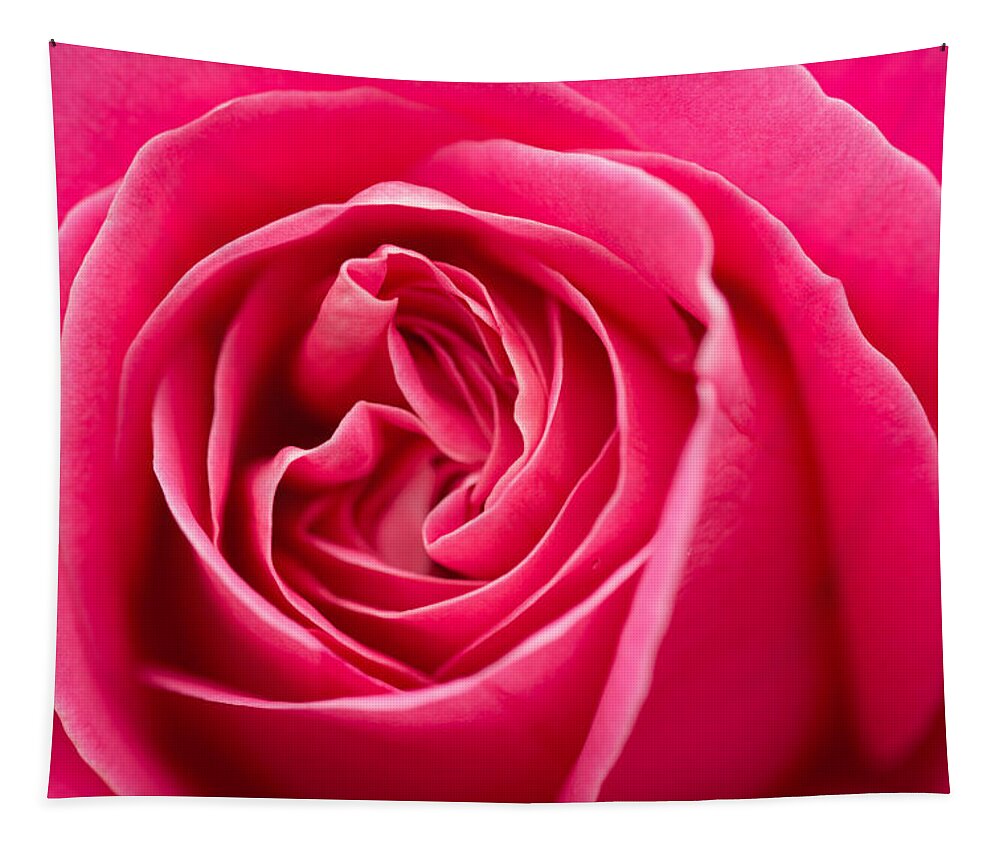 Rose Tapestry featuring the photograph Shocking Pink Rose by Ana V Ramirez