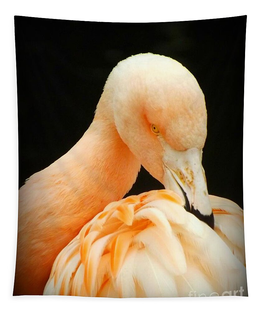 Flamingo Tapestry featuring the photograph Shy by Clare Bevan