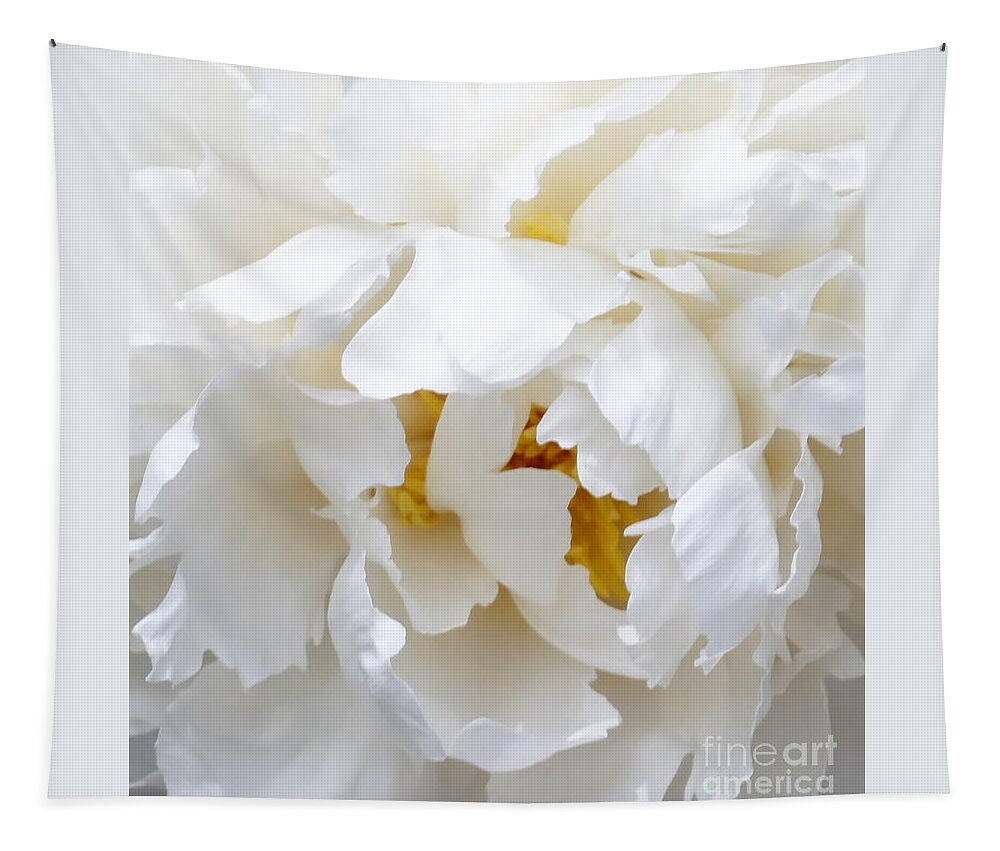 White Tapestry featuring the photograph Shy Girl by Lilliana Mendez