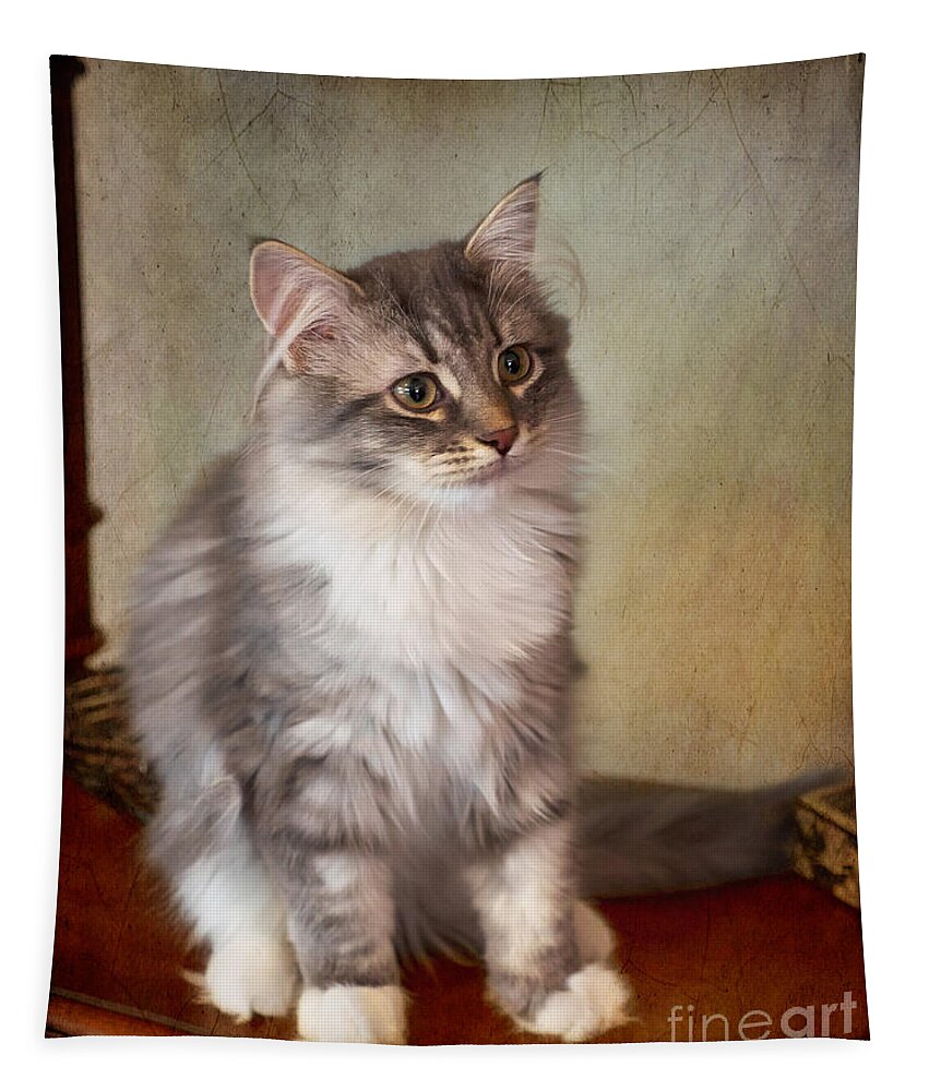 Siberian Tapestry featuring the photograph Siberian Forest Kitten II by Louise Heusinkveld