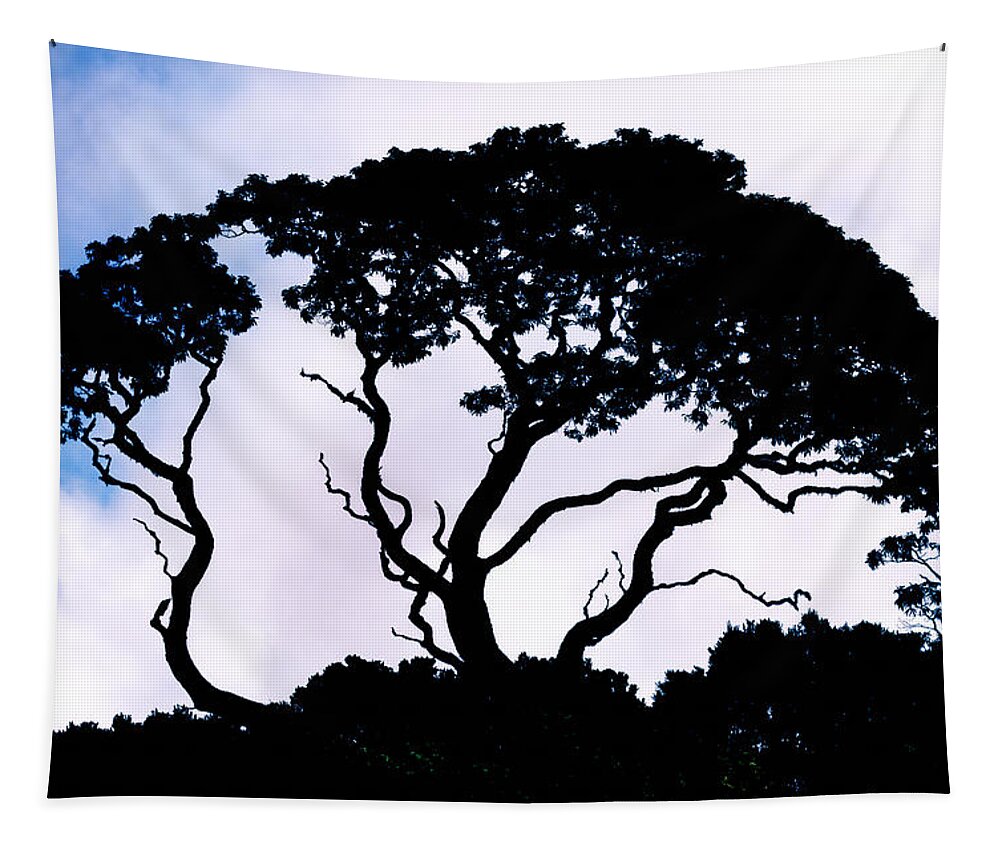 Tree Tapestry featuring the photograph Silhouette by Jim Thompson