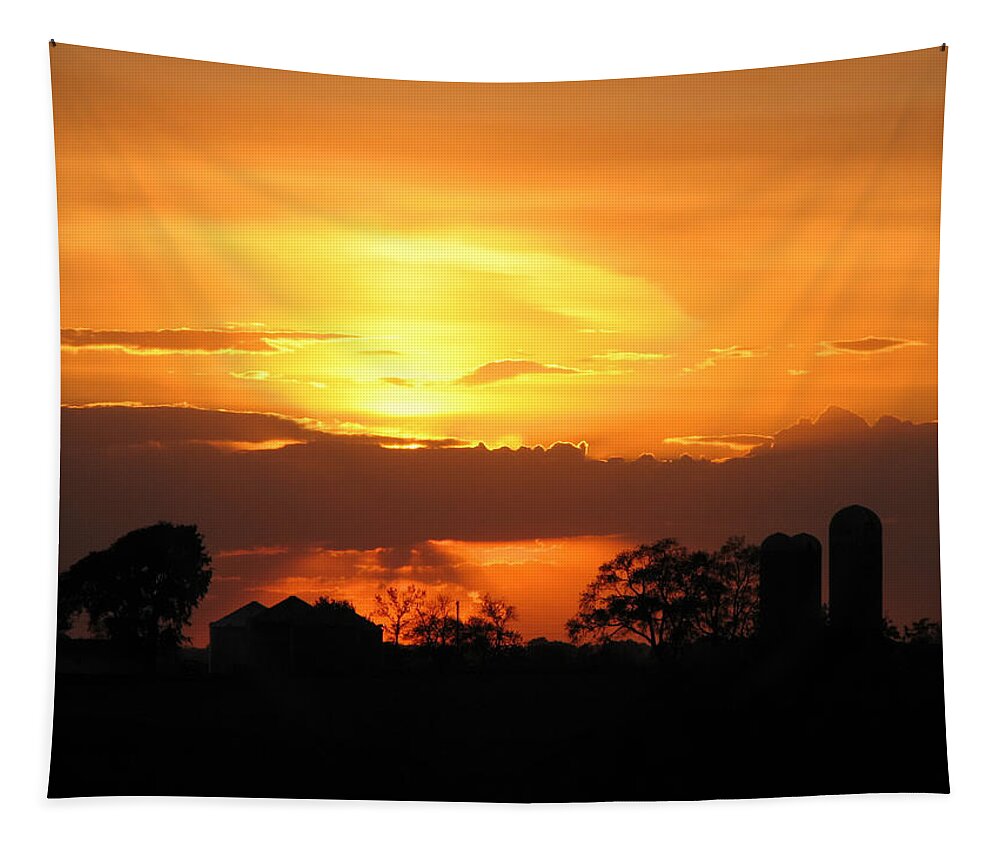 Farmer Tapestry featuring the photograph Silo Sunset by Dale Kauzlaric