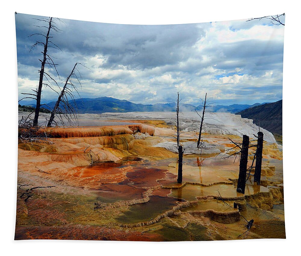 Yellowstone Tapestry featuring the photograph Simmering Color by Richard Gehlbach