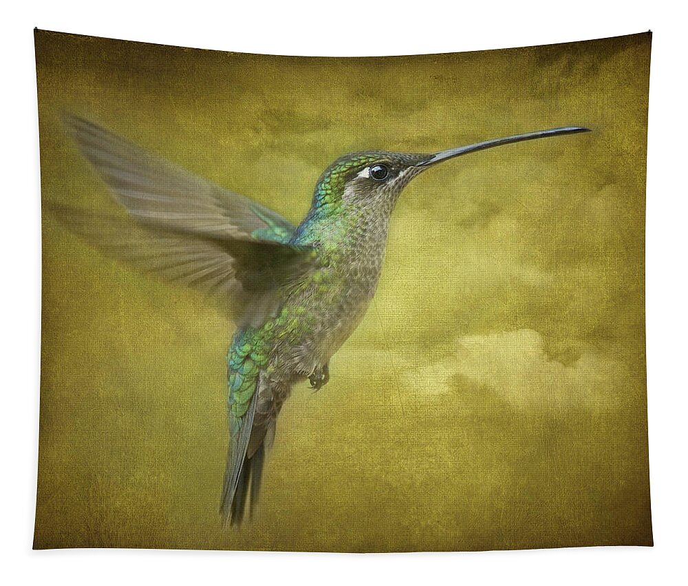 Magnificent Hummingbird Tapestry featuring the photograph Simply Magnificent.. by Nina Stavlund