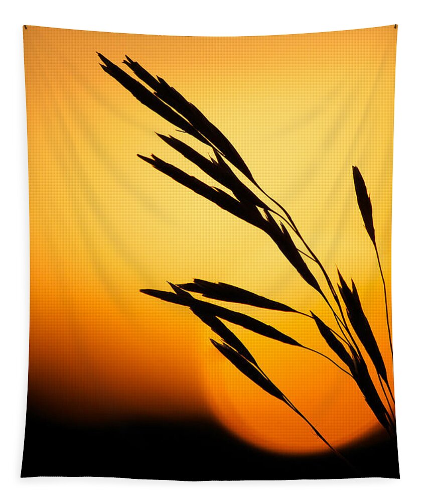 Sunset Tapestry featuring the photograph Simply Natural by Penny Meyers