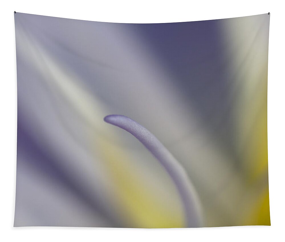 Single Stamen Tapestry featuring the photograph Single Stamen by Wes and Dotty Weber