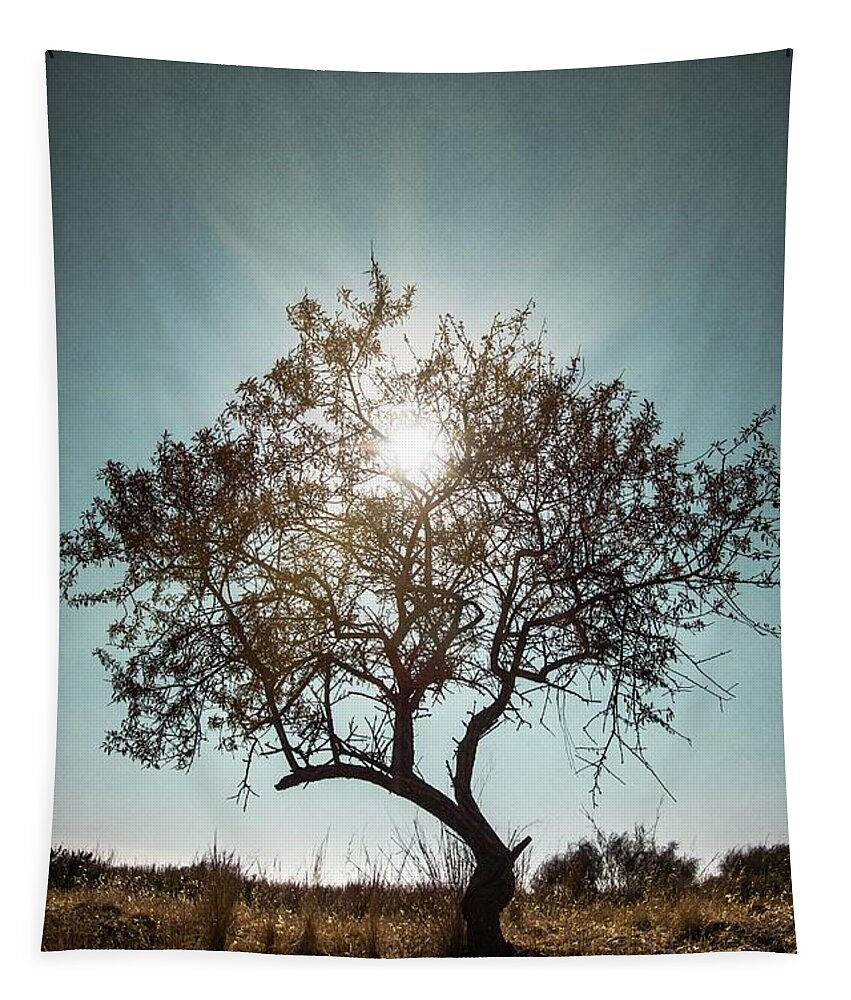 Dark Tapestry featuring the photograph Single Tree by Carlos Caetano