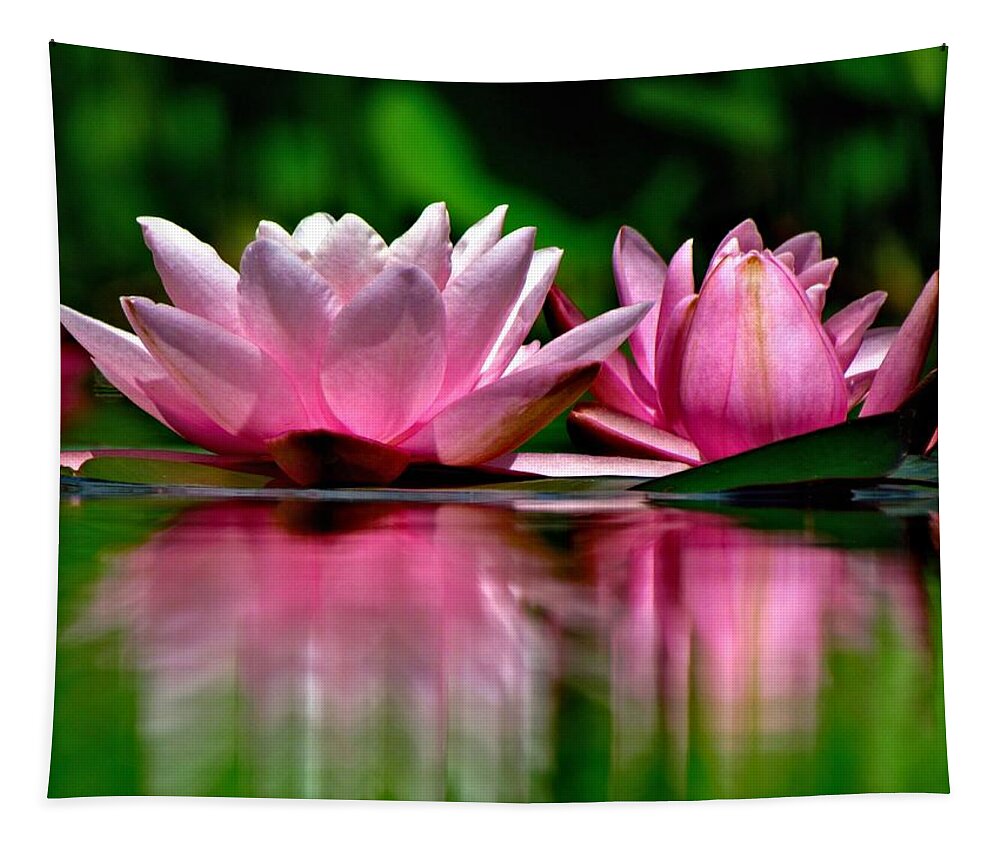 Waterlily Tapestry featuring the photograph Sisters by Carol Montoya