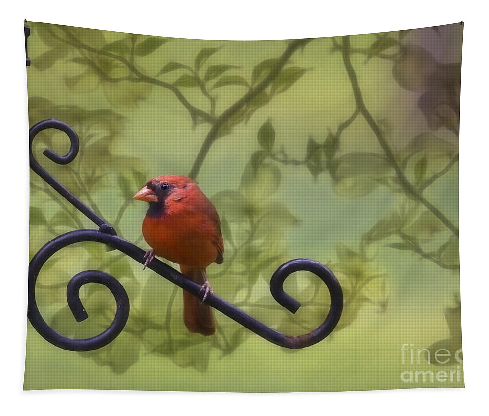 Male Cardinal Tapestry featuring the photograph Sitting Pretty by Linda Blair