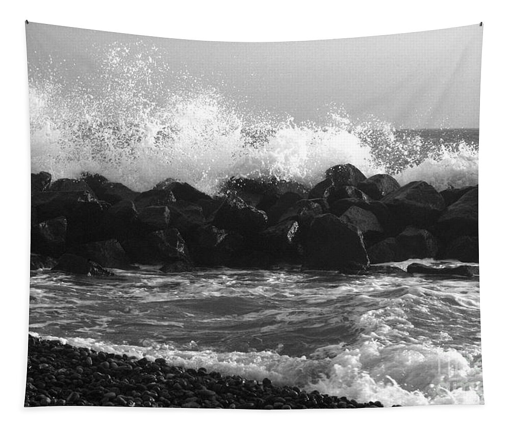 Waves Tapestry featuring the photograph Skagen Waves by Randi Grace Nilsberg