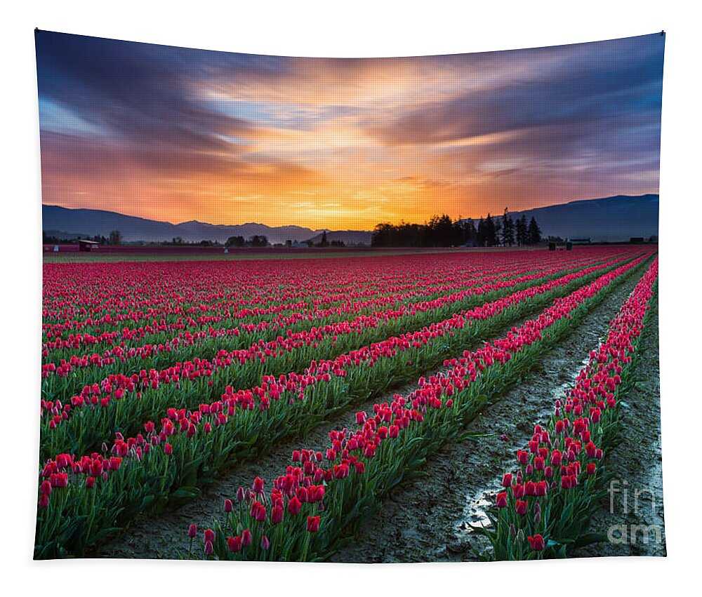 America Tapestry featuring the photograph Skagit Valley Predawn by Inge Johnsson